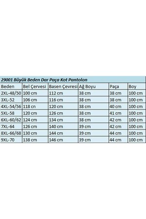 29001 Büyük Beden Dar Paça Kot Pantolon-Açık Mavi - 2