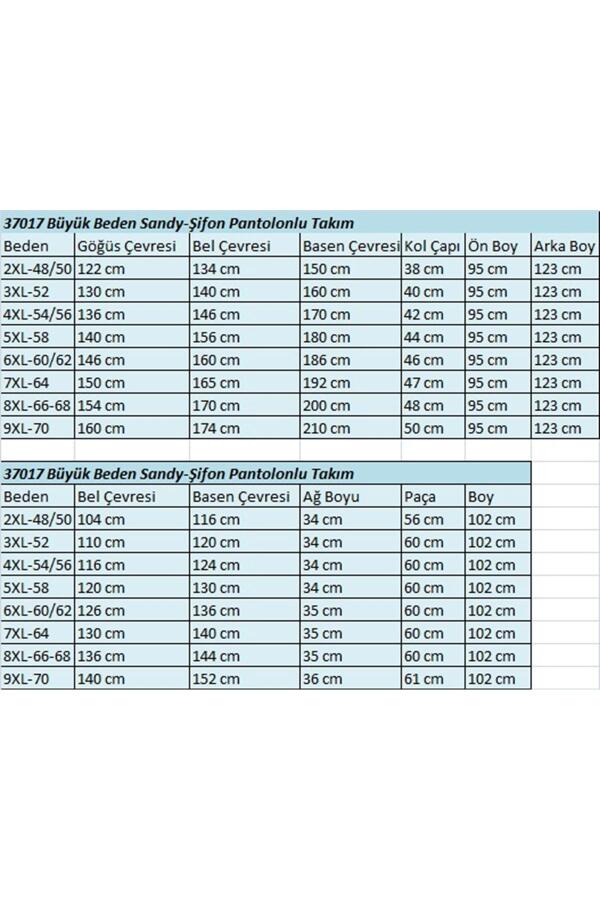 37017 Büyük Beden Sandy-Şifon Pantolonlu Takım-Gül - 2