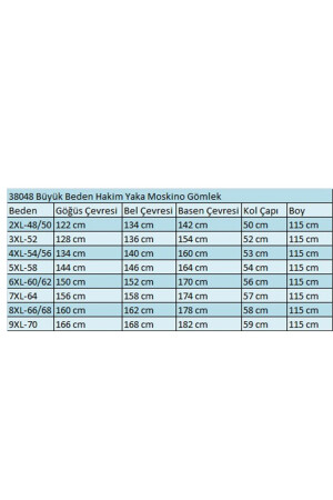 38048 Büyük Beden Hakim Yaka Airobin Gömlek Tunik - Açık Mavi - 2