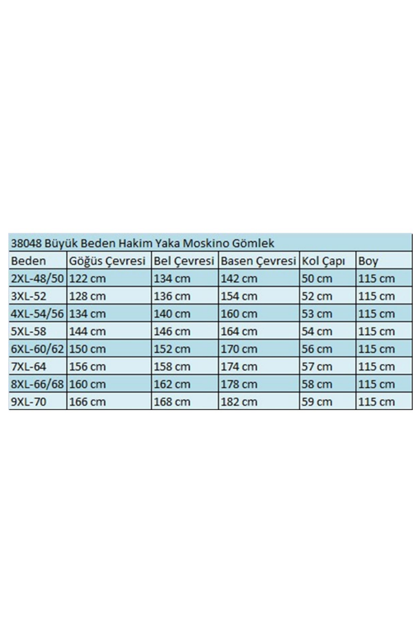 38048 Büyük Beden Hakim Yaka Airobin Gömlek Tunik - Mavi - 2