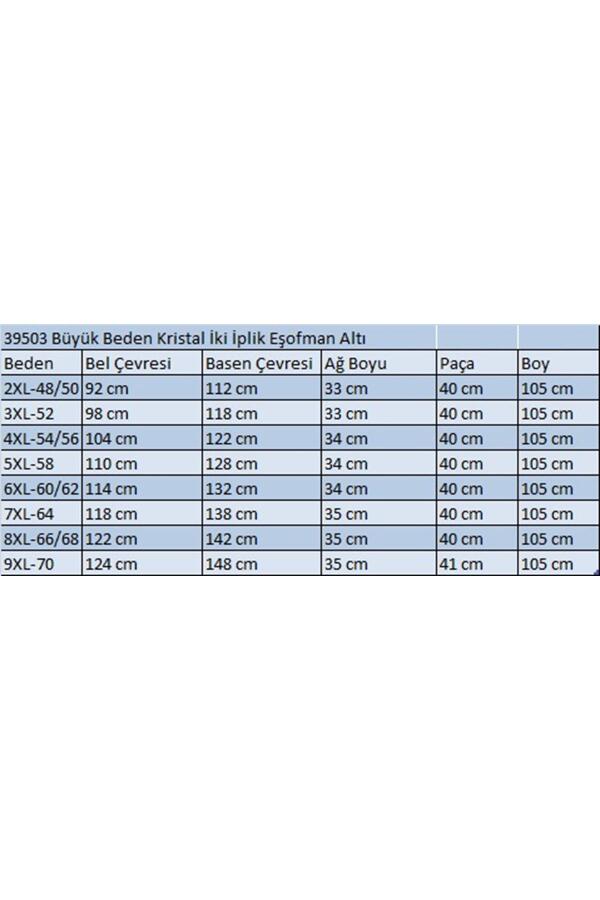 39503 Büyük Beden Kristal İki İplik Eşofman Altı -Vizon - 2