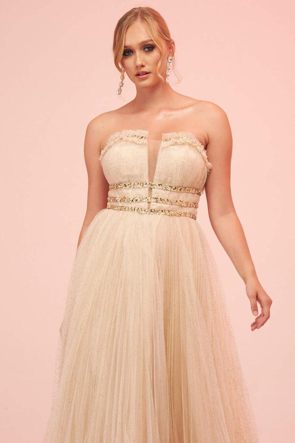 Beige Strapless Backless Tulle Engagement Dress - 2