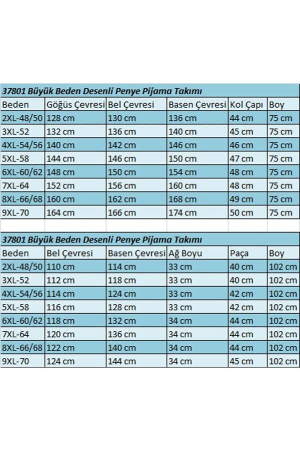 37801 Büyük Beden Desenli Penye Pijama Takımı - Siyah - 2