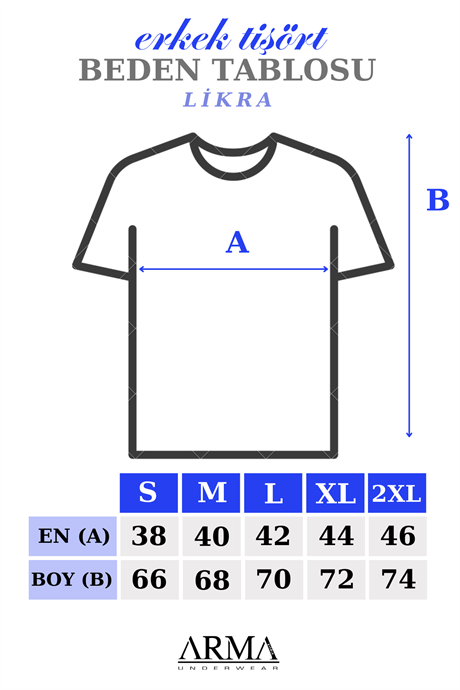 Siyah 2'li Erkek T-Shirt Kısa Kollu Pamuklu Likralı - 2